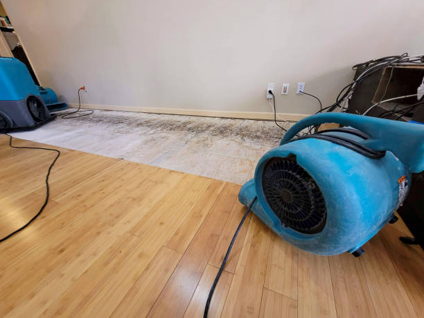 Professional Flood Damage Cleanup technician working in Gordon, WI
